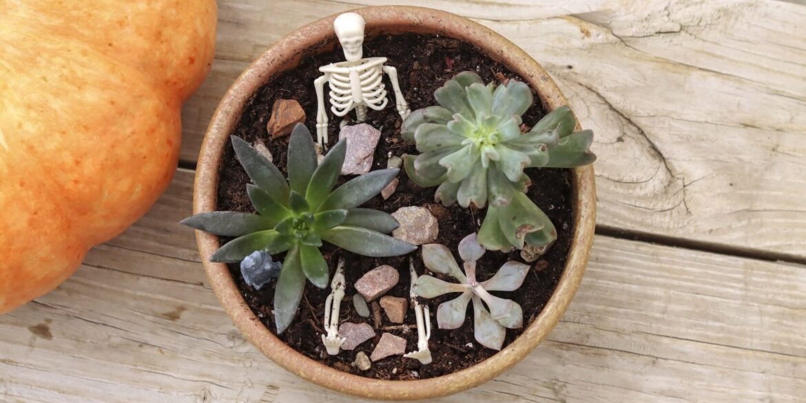 Fall events, workshops blend seasonal fun with new patio, porch decor Fall events, workshops blend seasonal fun with new patio, porch decor