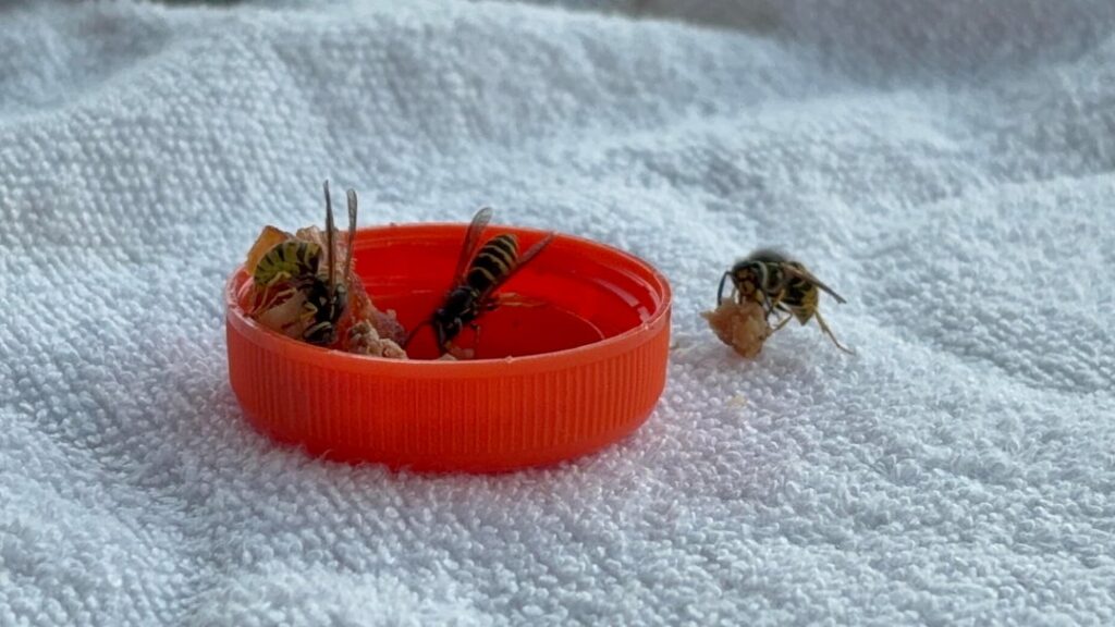 Her greed sickens me