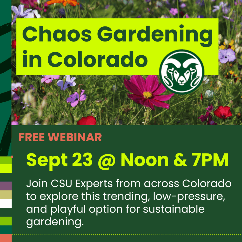 Free Gardening Webinar: Embrace the chaos and learn how to garden with it! π±π« Hear from 3 CSU Extension experts on what it takes to design a thriving, pollinator-friendly “chaos garden” π
Tues. 9/23 (focused on Colorado, but many concepts can be broadly applied) Free Gardening Webinar: Embrace the chaos and learn how to garden with it! π±π« Hear from 3 CSU Extension experts on what it takes to design a thriving, pollinator-friendly "chaos garden" π
Tues. 9/23 (focused on Colorado, but many concepts can be broadly applied)
