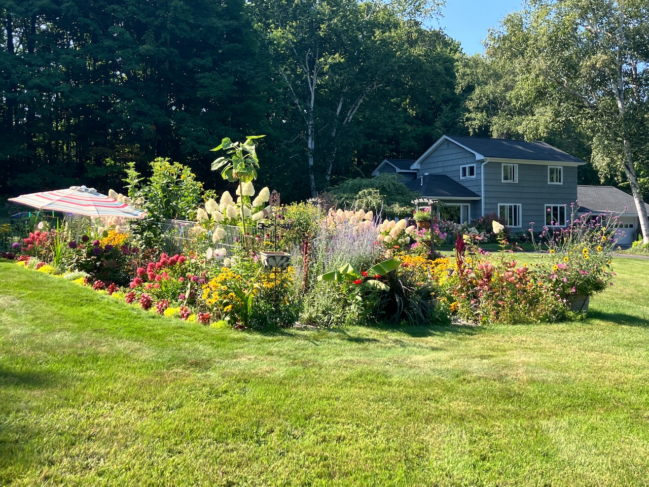 Best Flower Garden