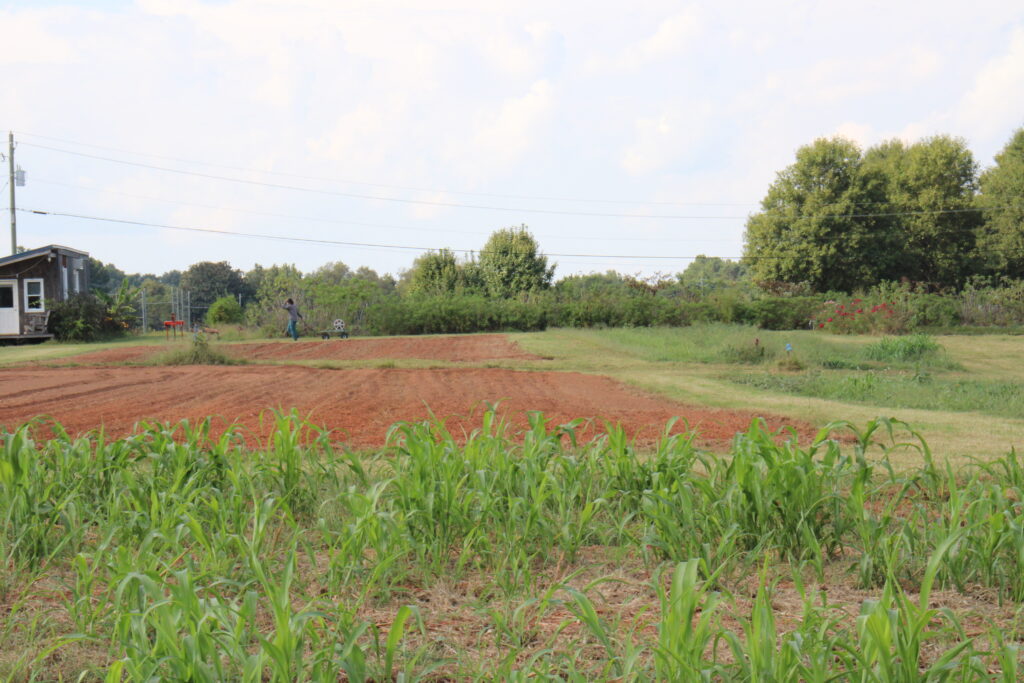 An empty field sits at the entrance of UGArden.