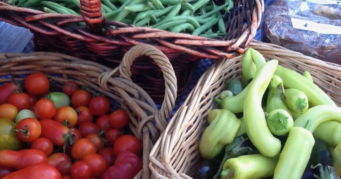 Time to get your summer garden growing Region Canberra