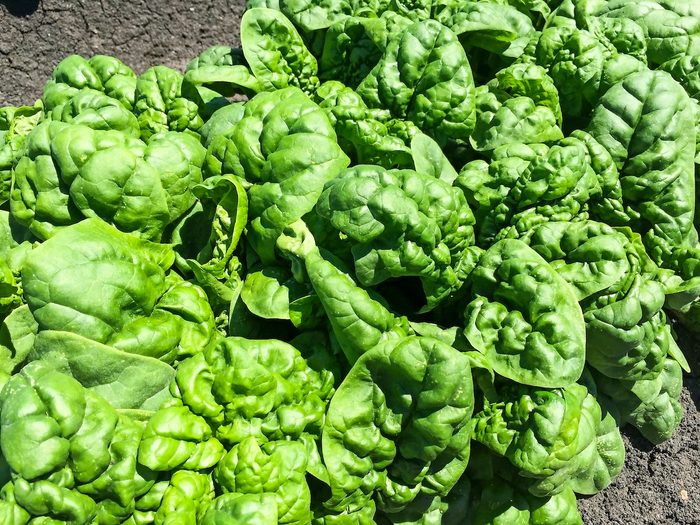 spinach