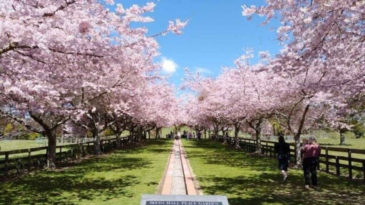 Ikeda-Hall Peace Gardens 25th anniversary to be celebrated in Rotorua Ikeda-Hall Peace Gardens 25th anniversary to be celebrated in Rotorua