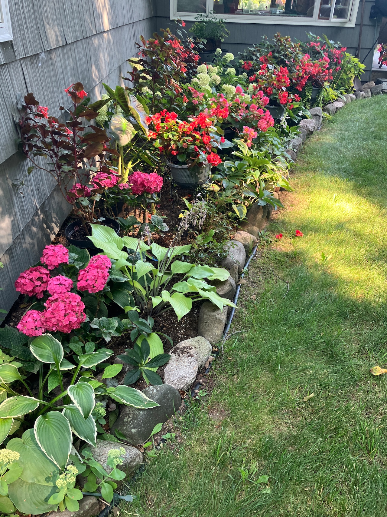 Best Flower Garden