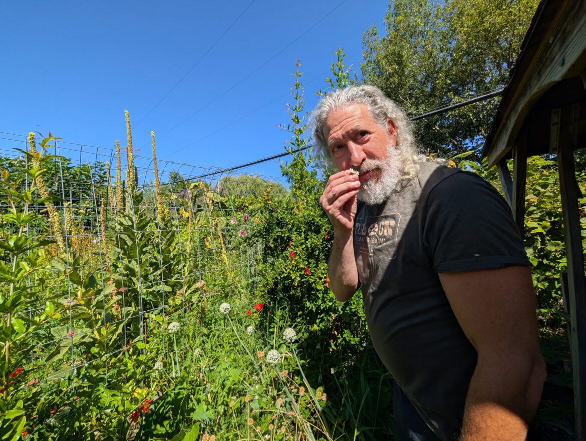 A forest of food: Eugene gardener tends spectacular range of plants