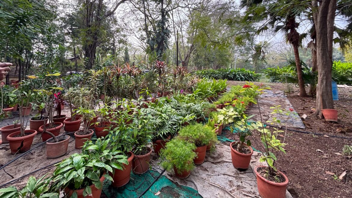 ‘Quickly become out of control’ The ripple effect impacts our food supply, as well.