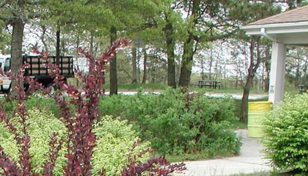 Gardener issues warning against harmful product being sold at big-box stores: ‘Please stop buying’ "Finally got rid of them all, thankfully."