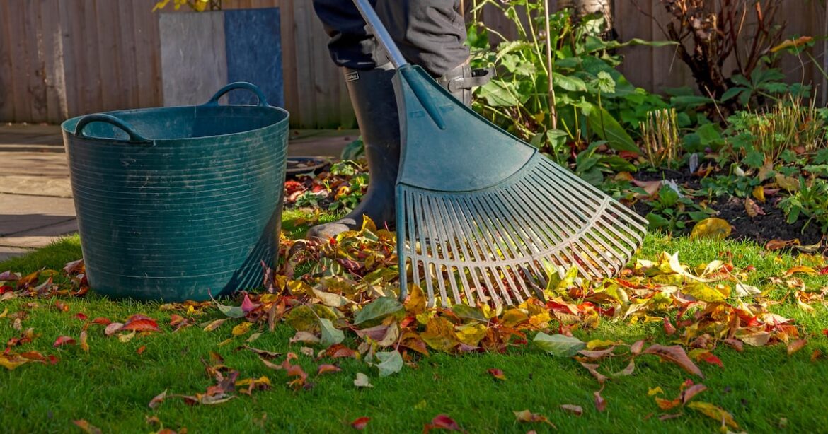 Get ahead with October gardening jobs – The Irish News Get ahead with October gardening jobs – The Irish News