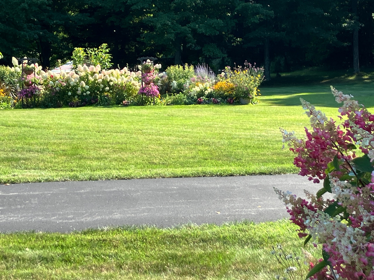 Best Flower Garden