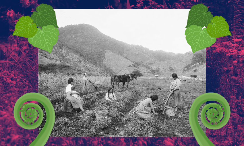 Tending the garden of te reo Māori avatar
