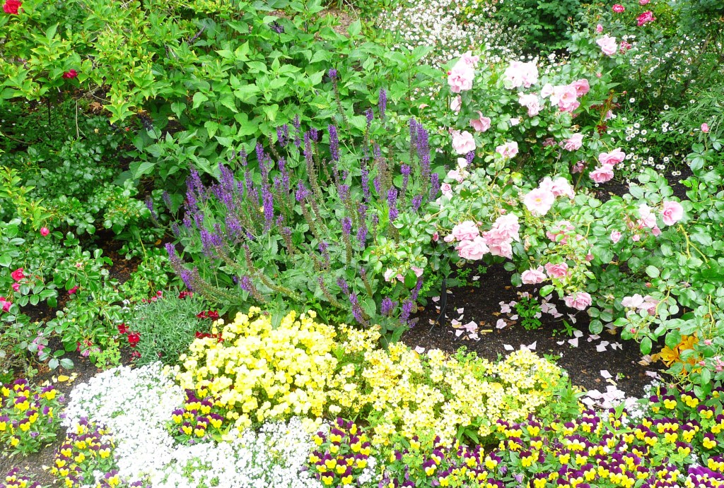 How to attract beneficial bugs to your garden – Marin Independent Journal How to attract beneficial bugs to your garden – Marin Independent Journal