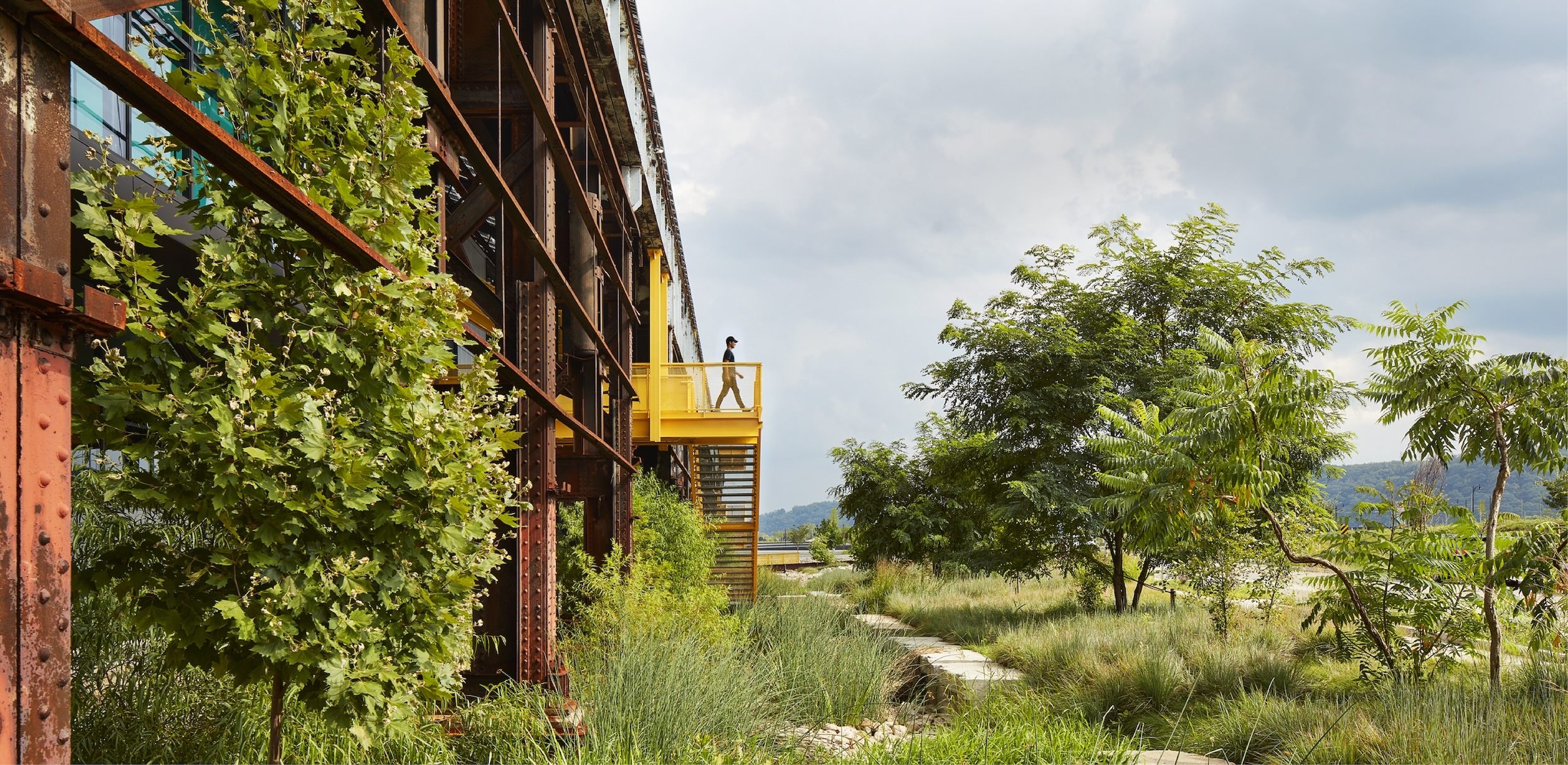 mill 19