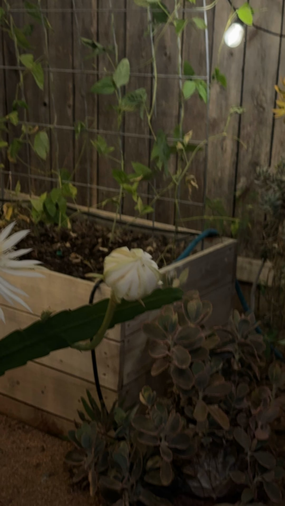 Time lapse!