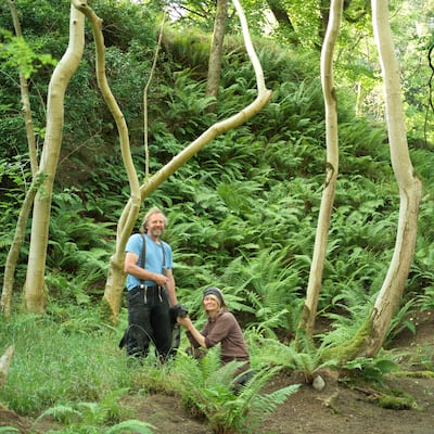 More than 2,000 different varieties of plants are propagated on site. Photograph: Richard Johnston