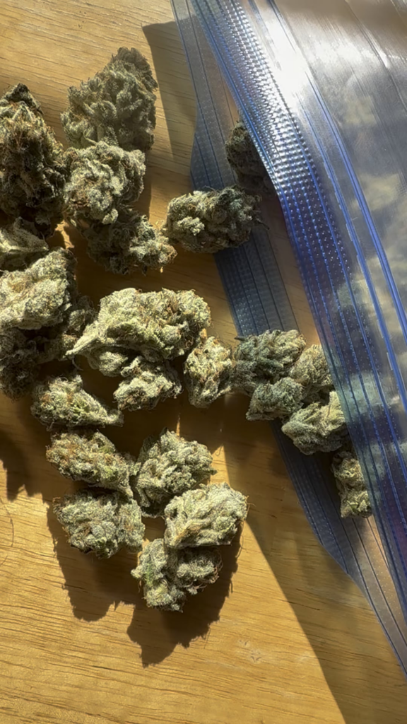Always with the fresh from the grower some “tallyman” this shit right here fucking fire cant wait to smoke this yes sir 😋😋😋😋