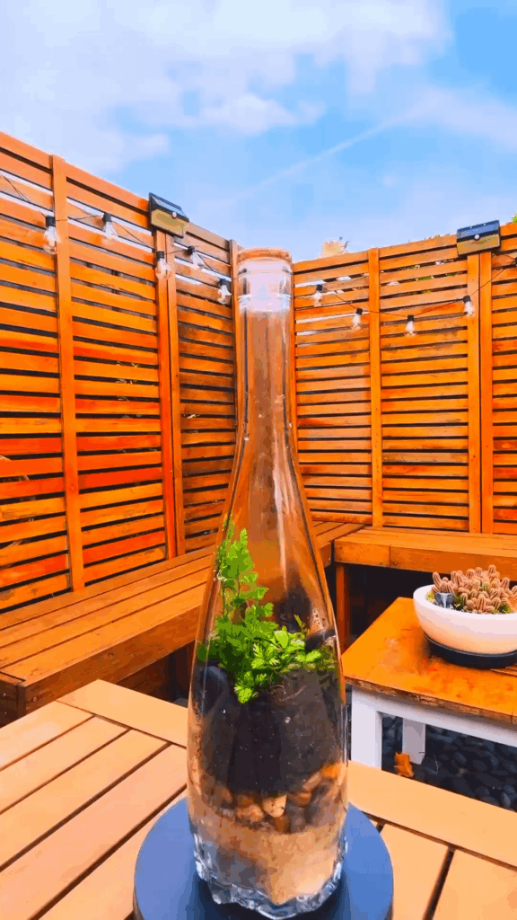 Mini Terrarium Inside a Wine Bottle 🌱🍷 | DIY Bottle Garden