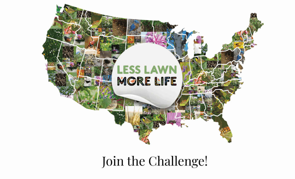 Less lawn, more life!