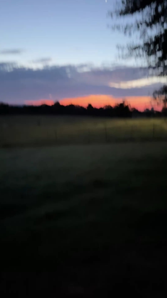 Good Morning Homesteaders.