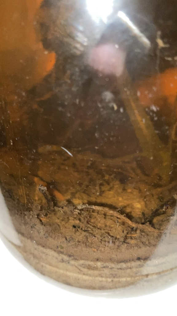 What is this moving jelly…?