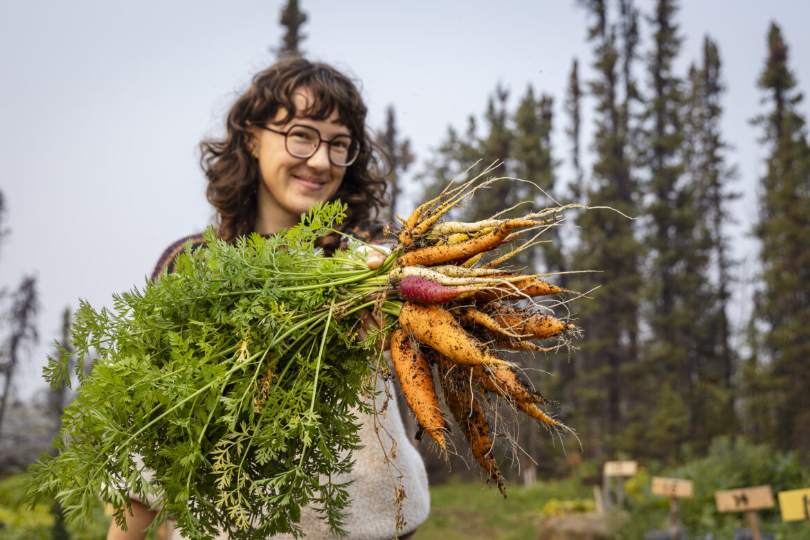 How Laughing Lichen created farm-grade soil on the Ingraham Trail