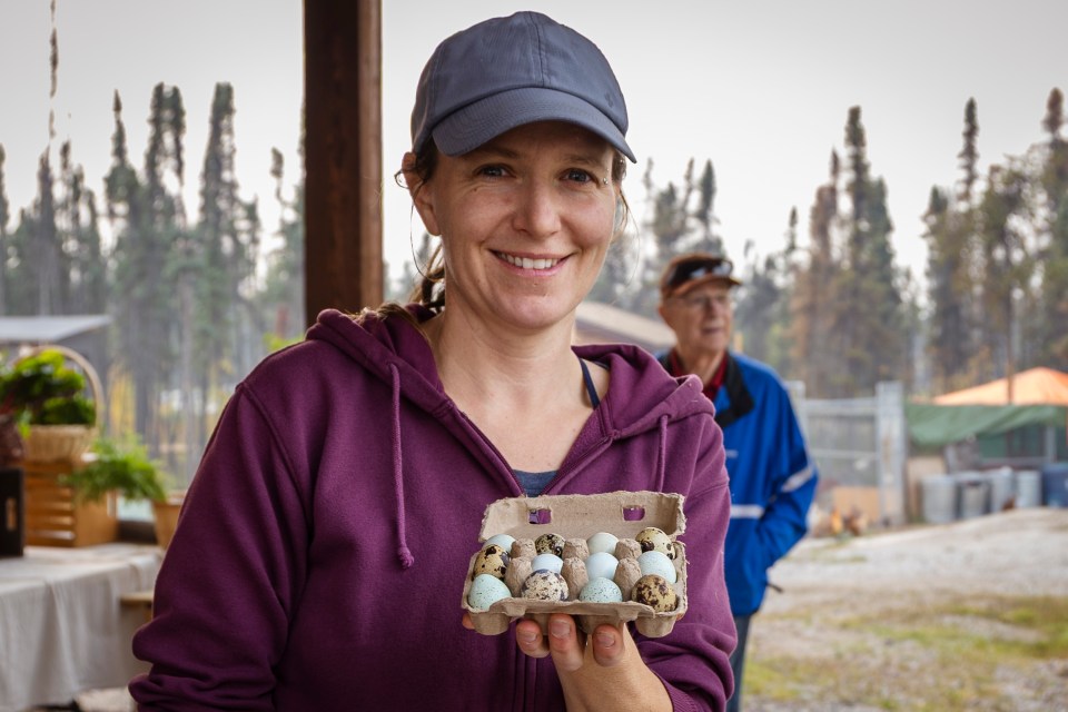 Amy Maund holds a box of a dozen quail eggs. Ollie Williams/Cabin Radio