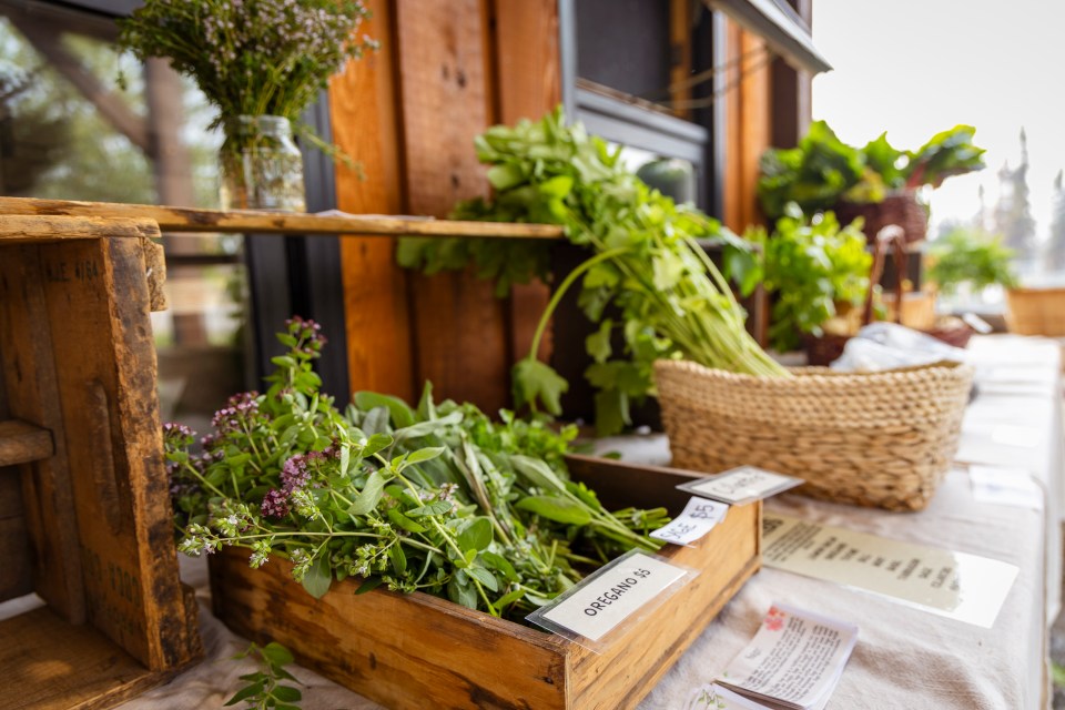Herbs for sale at Laughing Lichen. Ollie Williams/Cabin Radio
