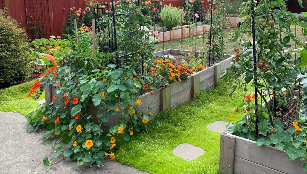 Gardener shares stunning photos of tiny visitors enjoying yard: ‘They are darling’ "Cute lil garden buddies."