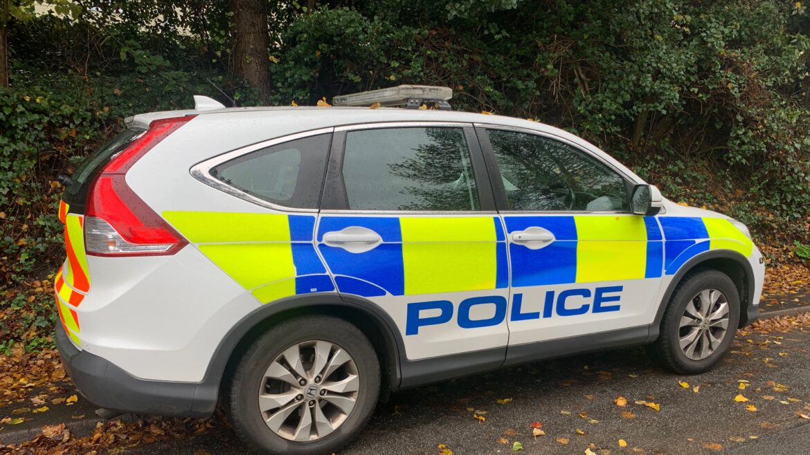 Luton fake gardener jailed for burgling homes of people he offered to help