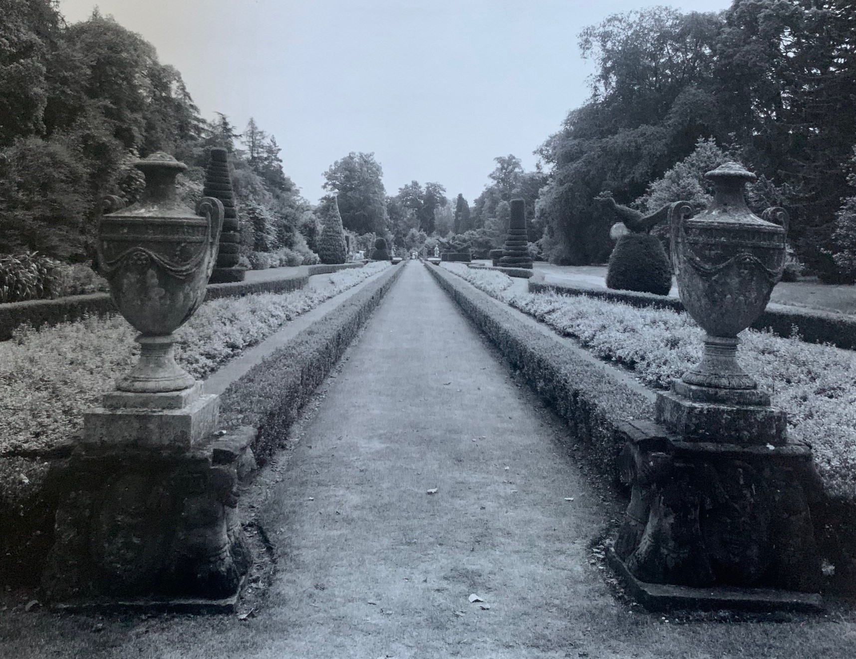 Cliveden's long garden in 1981: a black and white photo