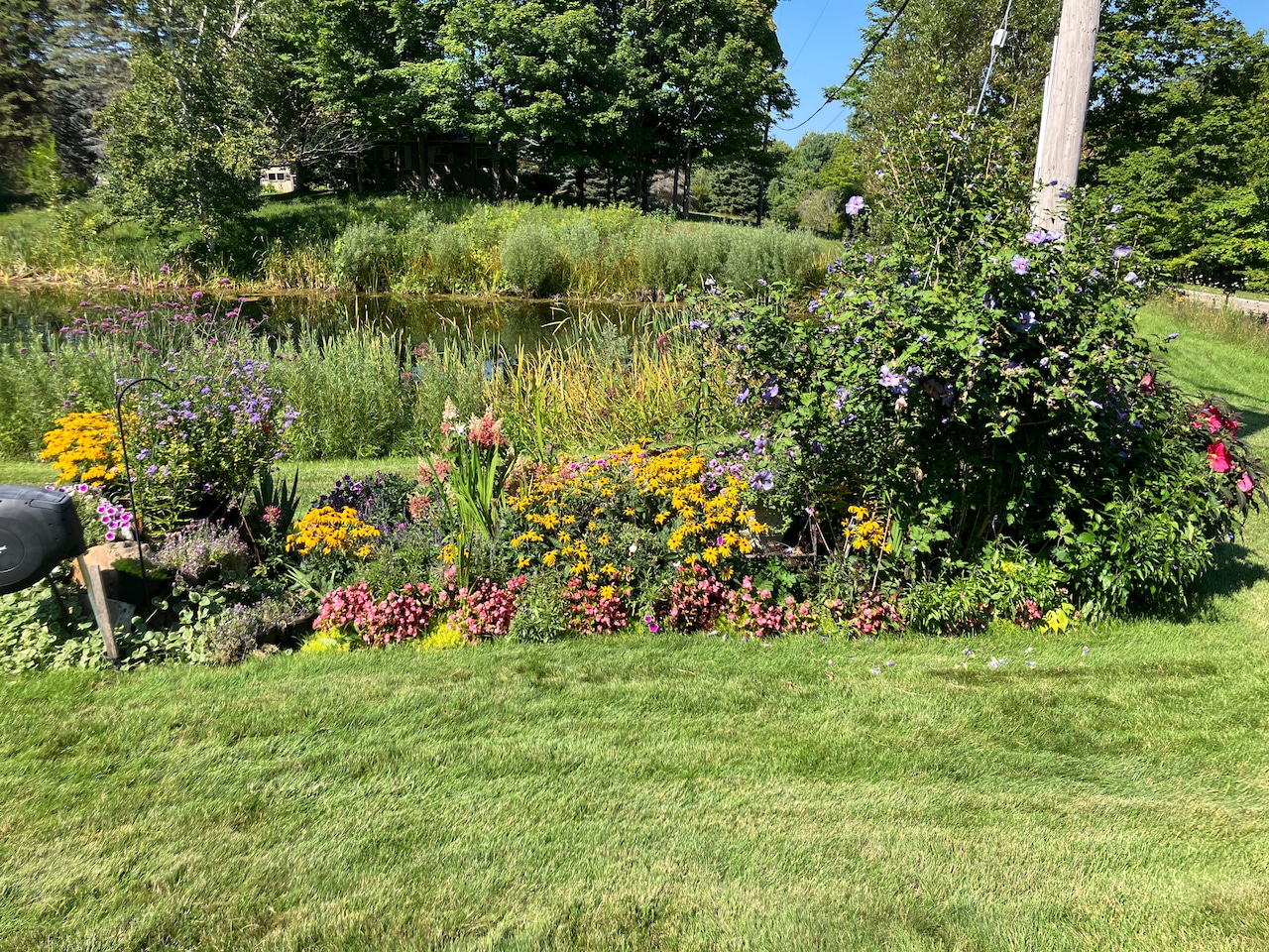 Best Flower Garden