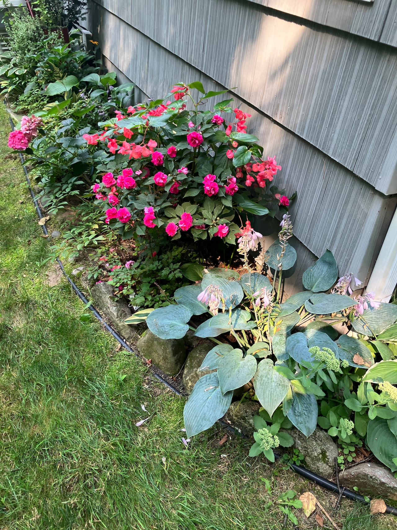Best Flower Garden