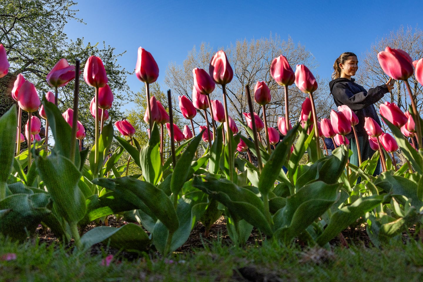 Planting bulbs in November is recommended.
