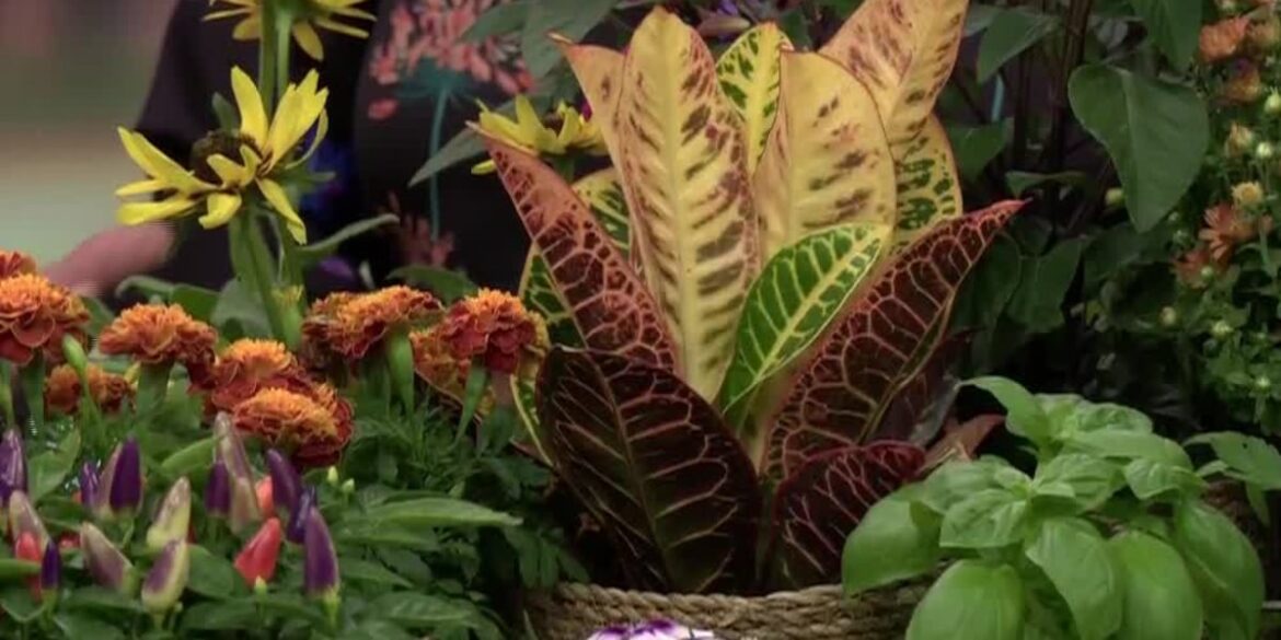 You ‘autumn’ get into gardening