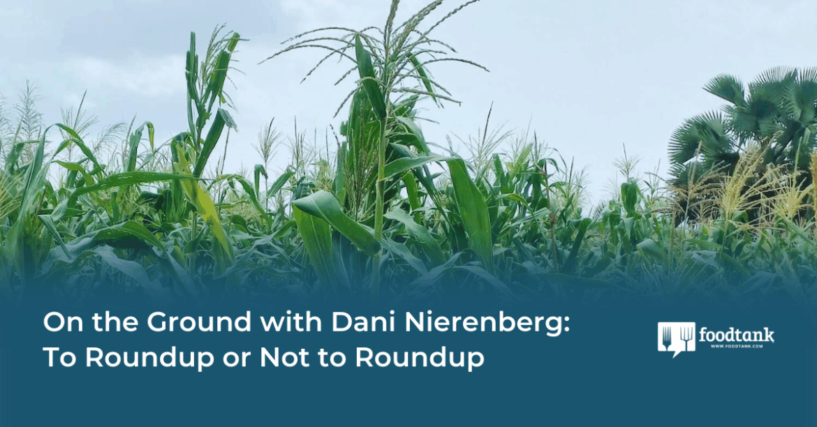 To Roundup or Not to Roundup – Food Tank To Roundup or Not to Roundup – Food Tank