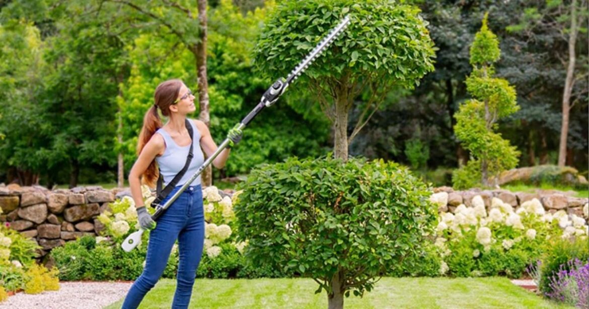 The GTech hedge trimmer that shoppers call 'absolutely fantastic' is now £120 cheaper