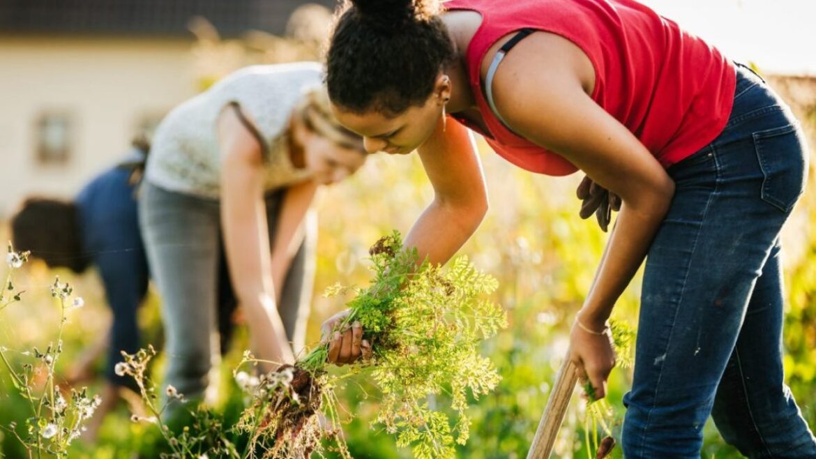 How to get rid of weeds for good, according to a gardening expert How to get rid of weeds for good, according to a gardening expert