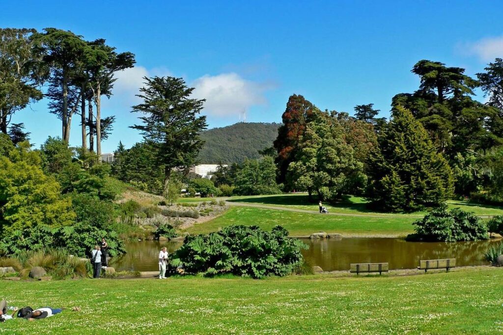 SF Botanical Garden great meadow and lake.