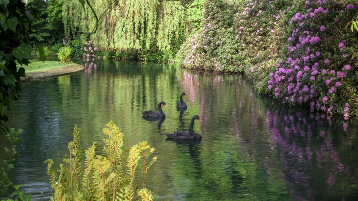 The gardens of Shute House: Sir Geoffrey Jellicoe’s erudite, timeless masterpiece The gardens of Shute House: Sir Geoffrey Jellicoe's erudite, timeless masterpiece