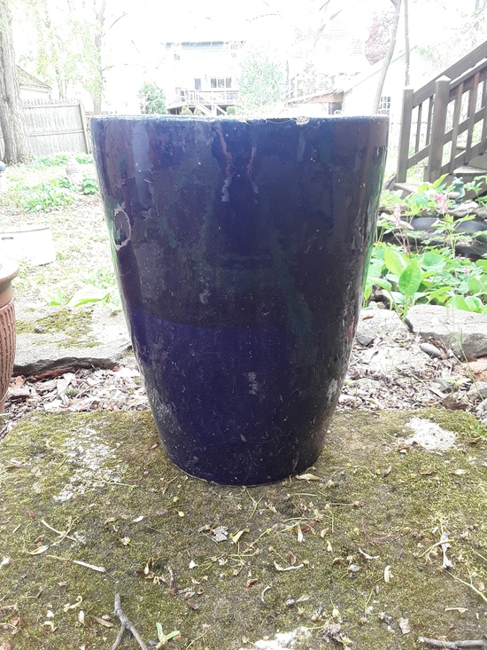 SMGB September 2025 My Blue Pot