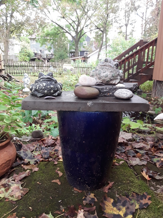 SMGB September 2025 My Blue Pot and Toads