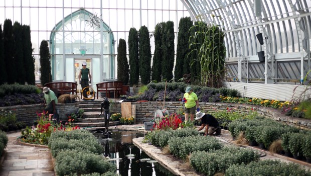 Gardeners at work in a large glass greenhouse. 