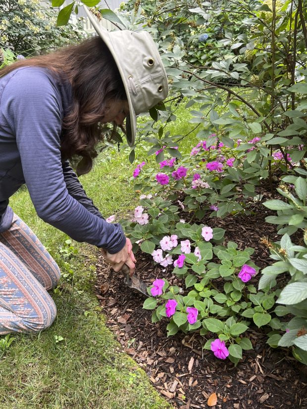 Gardening regularly yields benefits that continue to build, an expert said. (Jessica Damiano via The Associated Press)
