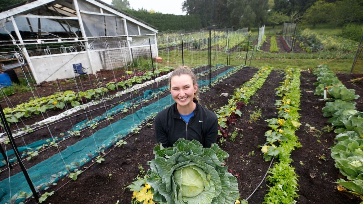 Whangārei market gardener Nadia Pavlovich shares journey from illness to success