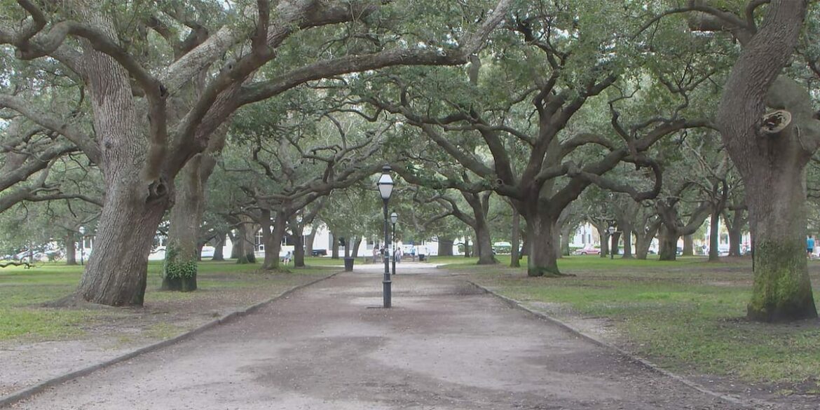 Charleston’s White Point Garden could get refresh alongside The Battery project Charleston’s White Point Garden could get refresh alongside The Battery project