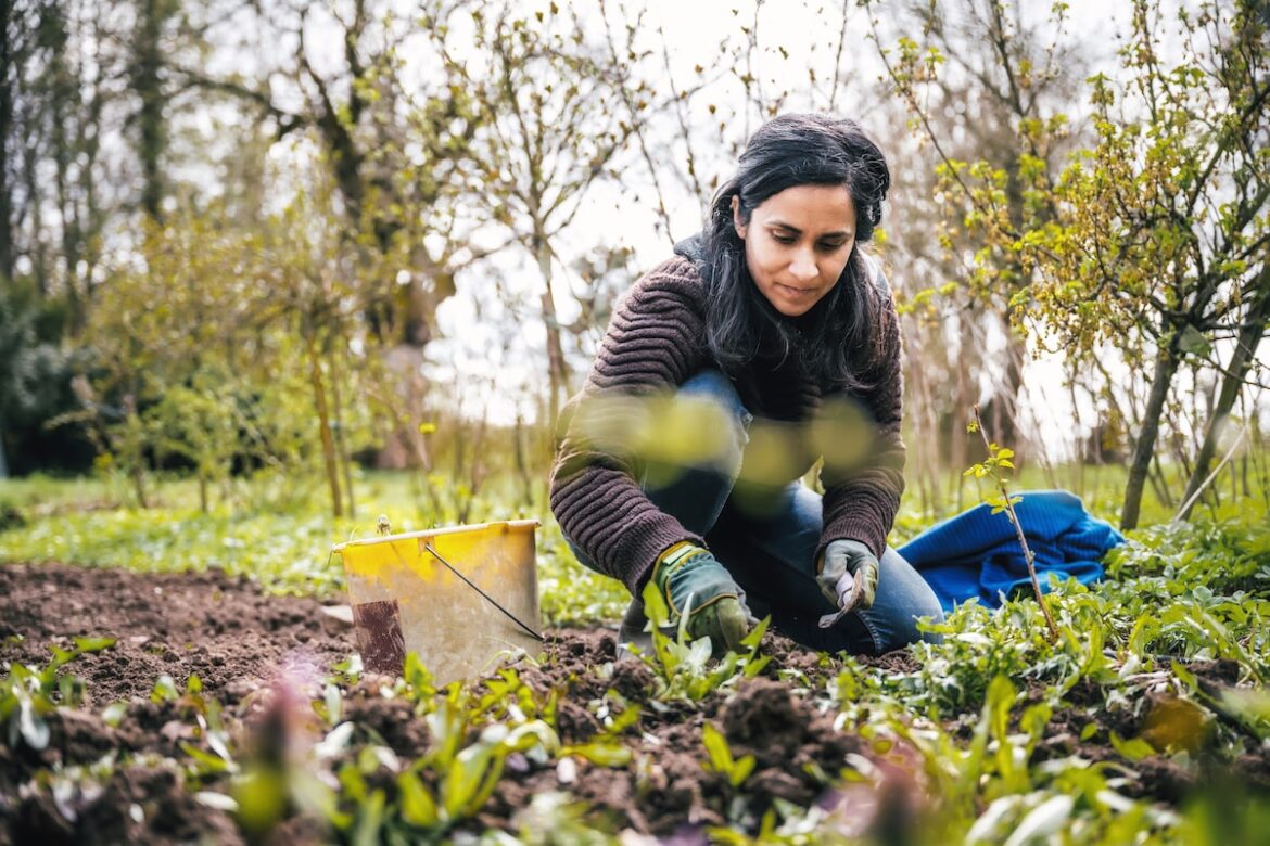 Your fall gardening to-do list