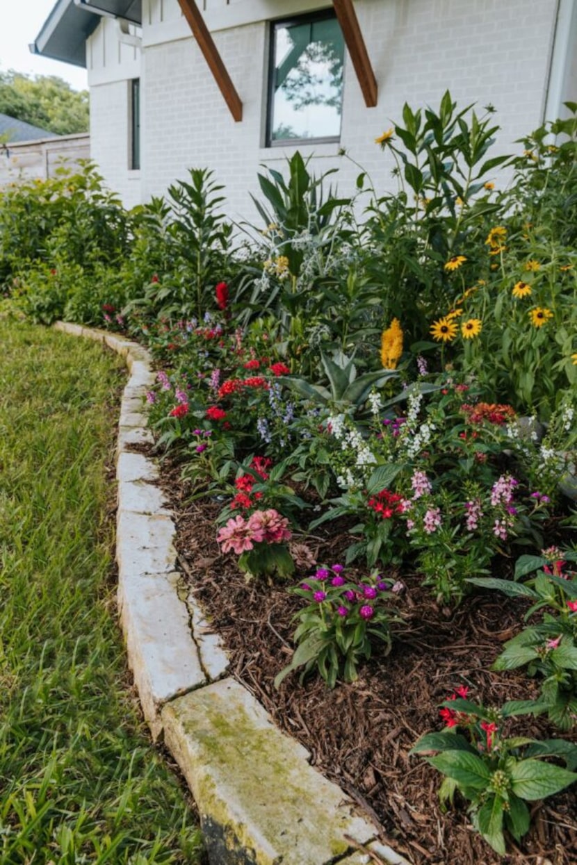 A diverse garden is important to help the good bugs take care of those that are less...