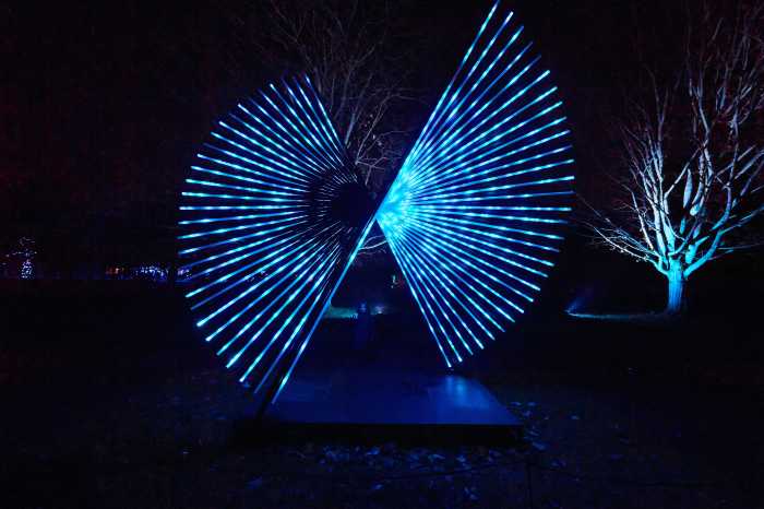 lightscape display