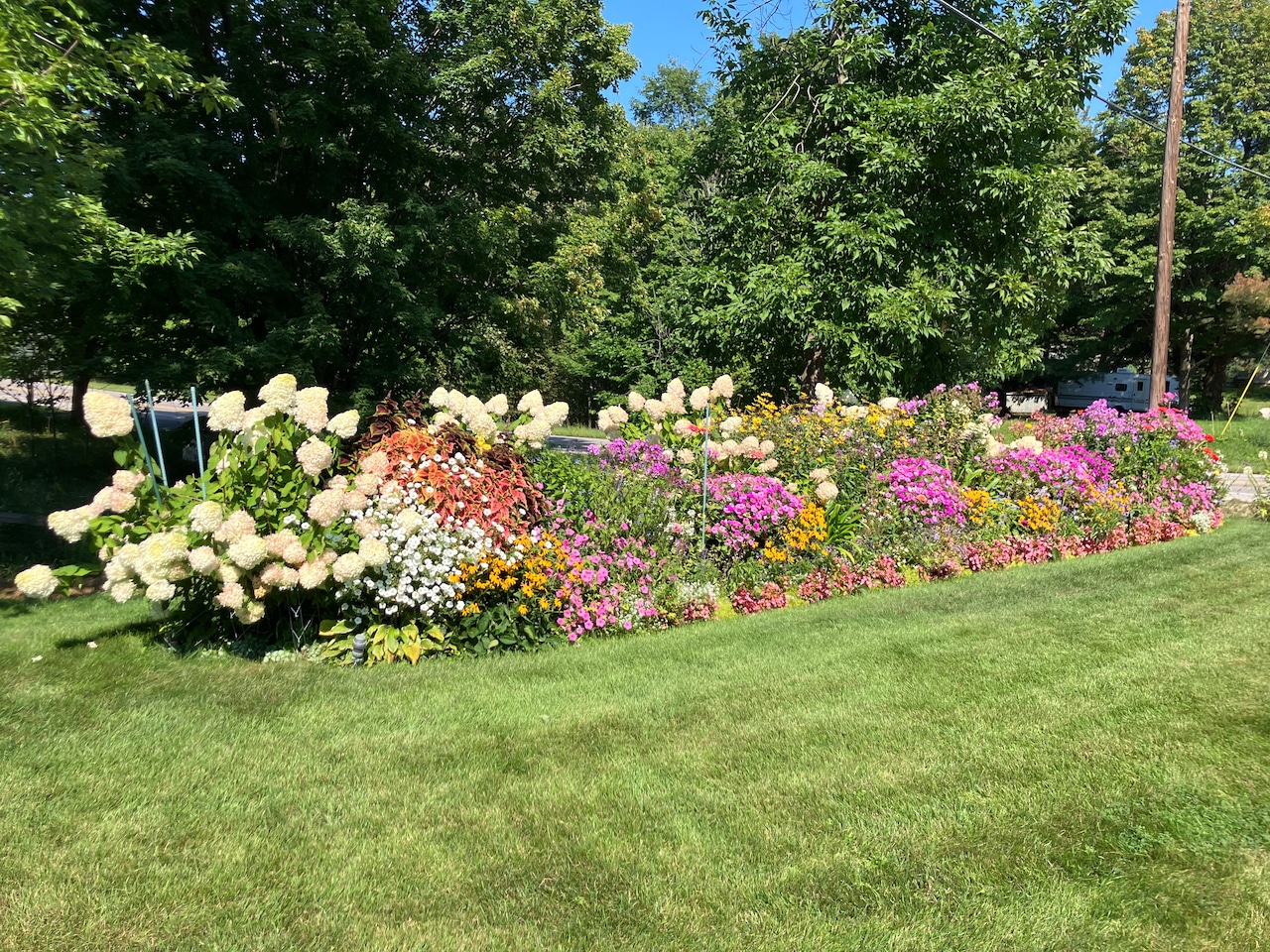 Best Flower Garden