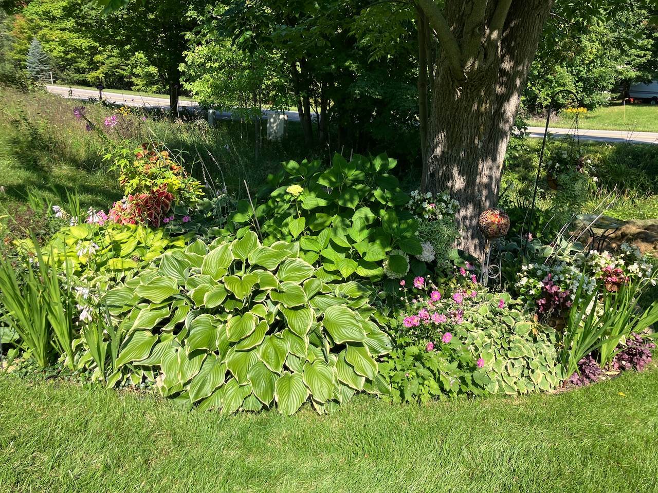 Best Flower Garden